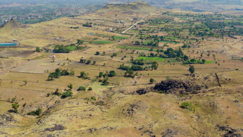 Landscape 7