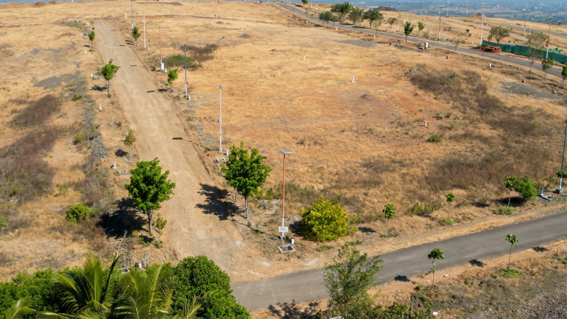 Landscape 6